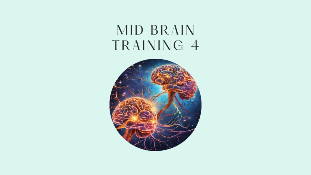 mid brain training 4