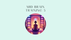 mid brain training 5
