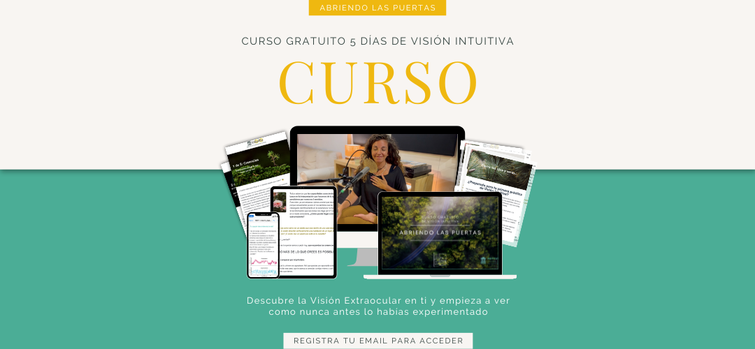 Curso online de visión extraocular