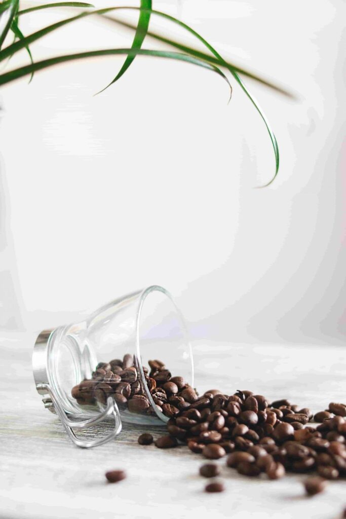 203003:
La imagen muestra un vaso de vidrio volcado, con granos de café marrón oscuro esparcidos sobre una superficie clara y lisa.
Un vaso de vidrio transparente está inclinado hacia un lado, apoyado sobre su borde, de manera que su boca abierta mira hacia la derecha. La transparencia del vidrio permite ver a través de él parte de los granos de café que estaban dentro.
Granos de café tostado de color marrón oscuro ocupan la parte inferior de la escena, esparciéndose desde la boca del vaso hacia la derecha y hacia adelante. Los granos más cercanos al vidrio son más visibles, mientras que los más lejanos se difuminan ligeramente en el fondo claro.
La superficie sobre la que están los granos es de color claro, entre blanco y gris muy pálido, con una textura suave que sugiere madera pintada o una mesa blanca iluminada.
En la parte superior de la imagen se observan hojas estrechas y alargadas de una planta, de color verde intenso y verde más claro. Estas hojas cuelgan desde arriba hacia el centro y borde izquierdo de la imagen, aportando un contraste natural con los tonos claros del fondo y los tonos marrones de los granos de café.