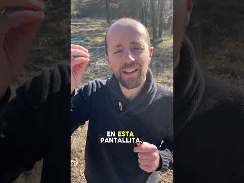 La capacidad de visualizar se puede entrenar para visualizar nuestras intuiciones 🌱✨