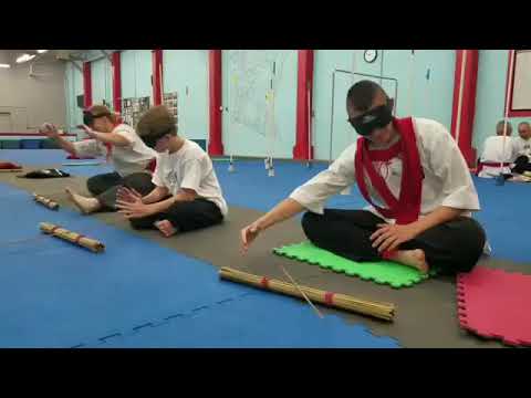 Vibravision Energy Projection Telekinesis | Vibravision Foundation | Vibravision USA | MP USA