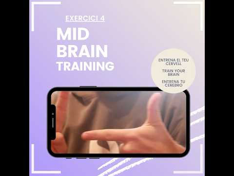 Ejercicio 4 de MID BRAIN TRAINING