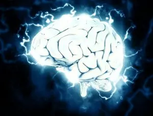 Ilustración del cerebro y la glándula pineal